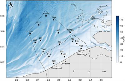 Optical Detection of Harmful Algal Blooms in the Belgian Coastal Zone: A Cautionary Tale of Chlorophyll c3